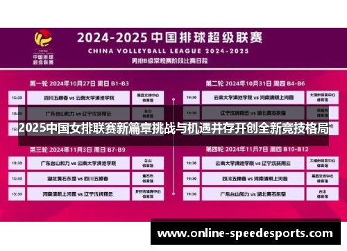 2025中国女排联赛新篇章挑战与机遇并存开创全新竞技格局
