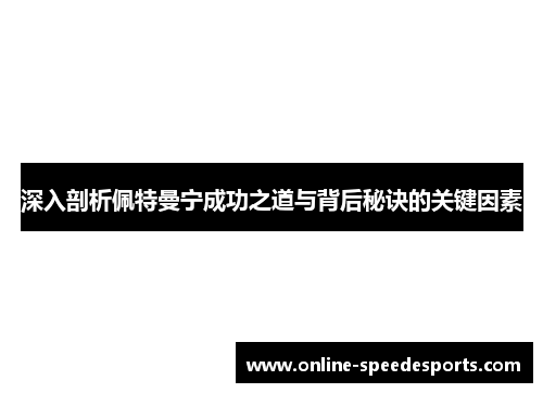 深入剖析佩特曼宁成功之道与背后秘诀的关键因素