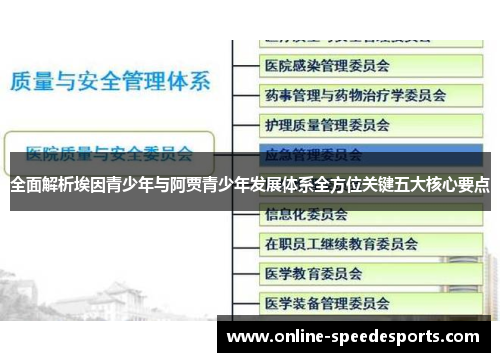 全面解析埃因青少年与阿贾青少年发展体系全方位关键五大核心要点